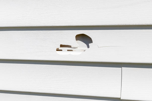 Same-Day Junk Removal Services in Fort Lauderdale, FL